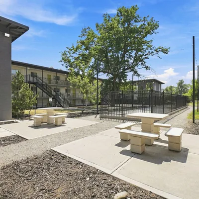 Outdoor picnic area at Lime Apartments in Lakewood, CO