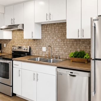 Modern Kitchen Stainless Appliances